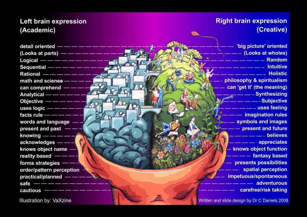 left brain diagram